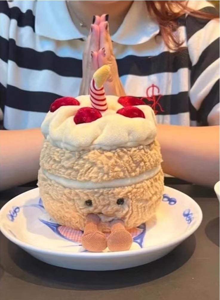 Realfrog Weighted Plush Toy,  Birthday Cake Doll , Cute Smile Cake Pillow Stuffed Animals, Funny Soft Food Plushies Toy for Gifts for Kids Birthday - Image 5