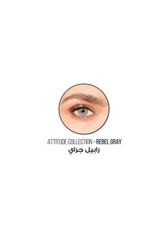 Desio  Attitude One Day Color Lenses Rebel Grey - pzsku/ZB0618A483B61EE6E0950Z/45/_/1738261794/2067330f-abc3-4984-b15e-d9c834426c89