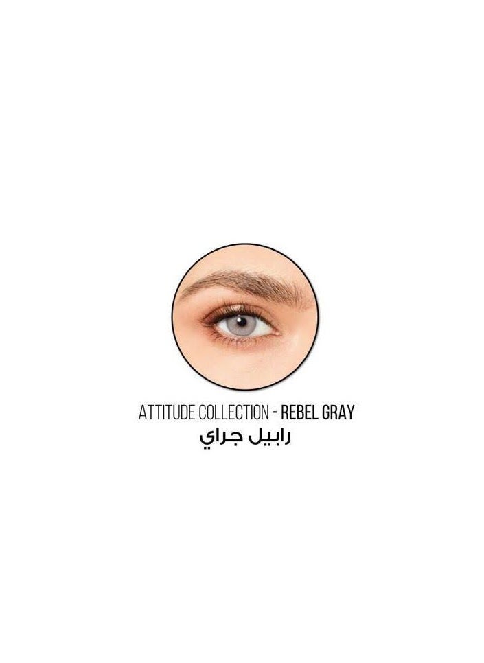 Desio Desio  Attitude One Day Color Lenses Rebel Grey  - Image 2