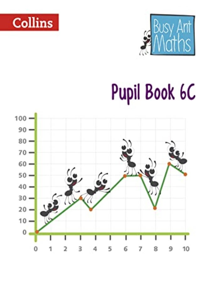 Pupil Book 6C 