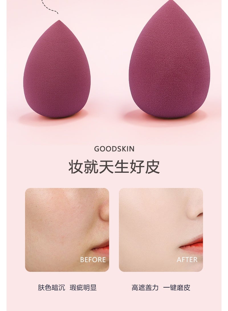 سيستار مجموعة إسفنجات مكياج شفافة مكونة من 4 قطع للسائل والكريم والبودرة (4 ألوان) - Image 4