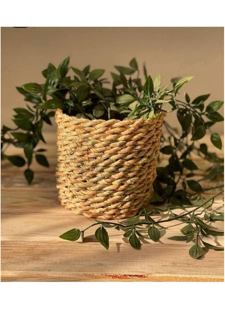Generic Halfa plant pot 15 cm 