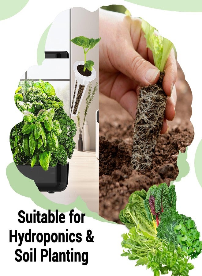 HiHOYA Herb & Salad Greens Seed Pods for All Hydroponics Growing Systems, 8 Pods with 600+ Seeds of Basil, Cilantro, Romaine, Kale, Arugula and Swiss Chard - Image 4