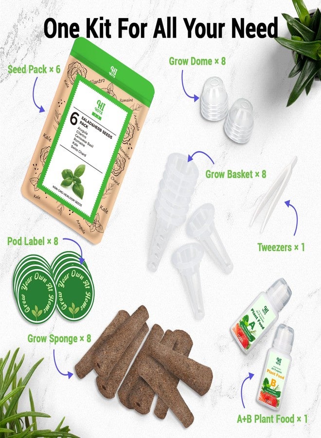HiHOYA Herb & Salad Greens Seed Pods for All Hydroponics Growing Systems, 8 Pods with 600+ Seeds of Basil, Cilantro, Romaine, Kale, Arugula and Swiss Chard - Image 3