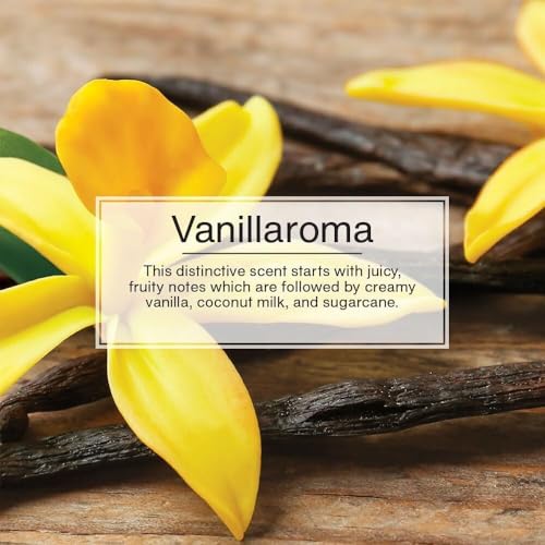 Little Trees Vanillaroma Air Freshener (Pack of 3) | Warm Vanilla Fragrance | Iconic Tree Hanging Design | For Car, Home, Wardrobe | Imported from USA - Image 5