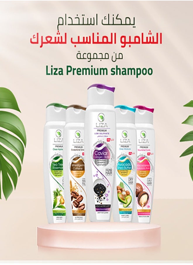Liza Liza Premium Defining Shampoo - 350 ml Macadamia & Hyaluronic Acid  - Image 4