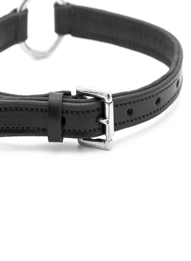 Jeffers Pet Soft Padded Black Leather Dog Collars with O-Ring & Metal Hardware, 5/8"x14" - Genuine Drum Dyed Cowhide, Adjustable Leather Collar for Dogs for Walking, Training, & Outdoor Use - Image 4