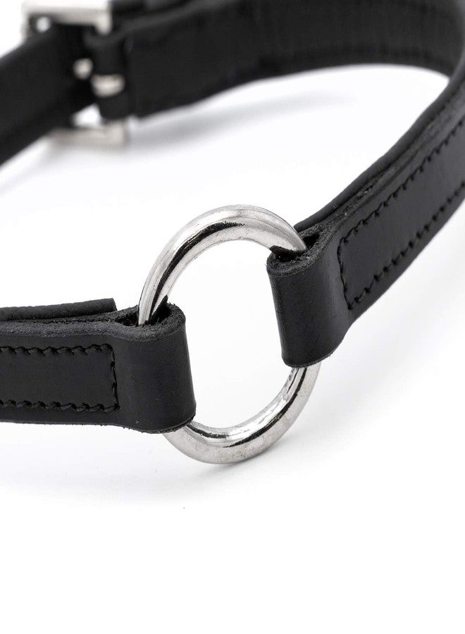 Jeffers Pet Soft Padded Black Leather Dog Collars with O-Ring & Metal Hardware, 5/8"x14" - Genuine Drum Dyed Cowhide, Adjustable Leather Collar for Dogs for Walking, Training, & Outdoor Use - Image 5