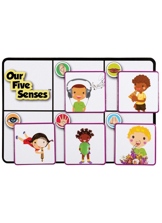 Learning Advantage LEARNING ADVANTAGE Our 5 Senses Game | Learning Game for Kids Ages 3+ | Teach The 5 Senses | Practice Descriptive Language  - Image 5