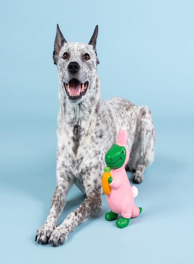 Fringe Studio Latex Dog Toy, Have A Hoppy Easter, Petshop Collection (366072) - Image 3