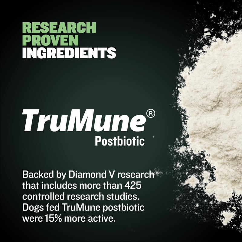 Bully Max Puppy Food 24/14 High Protein & Growth Formula - Dry Dog Food with Lamb and Rice for Small Dogs and Large Breed Puppies - Natural, Slow-Cooked, Sensitive Stomach Pet Food, 5-Pound Bag - Image 5