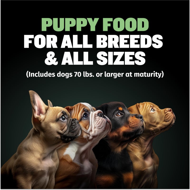 Bully Max Puppy Food 24/14 High Protein & Growth Formula - Dry Dog Food with Lamb and Rice for Small Dogs and Large Breed Puppies - Natural, Slow-Cooked, Sensitive Stomach Pet Food, 5-Pound Bag - Image 4