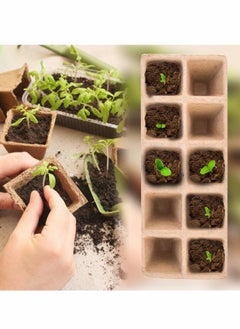 SYOSI 12 Pack Biodegradable Seedling Starter Trays Home Peat Pots with 20 Pcs Plant Labels Eco Friendly Seedling Germination Trays for Vegetable Fruit Gardens and Greenhouses 1 pair of seedlings  - Image 3