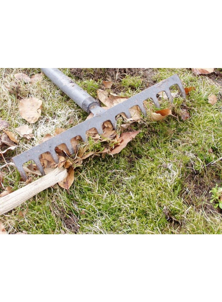 Garden Rake with Steel  Handle, 16-Tooth Steel Head - Image 2