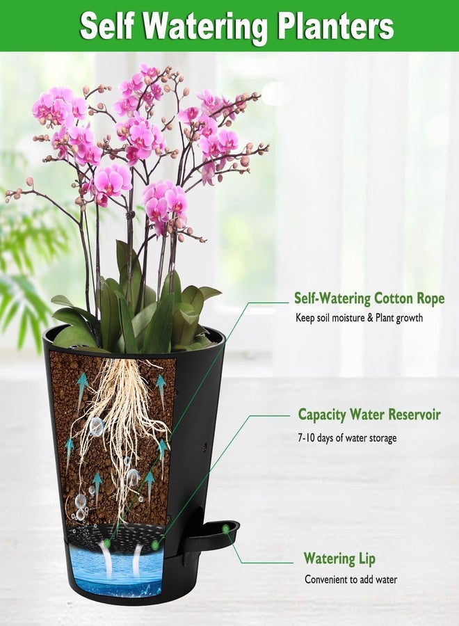 Vanslogreen Orchid Pots with Holes, 6 Inch Self Watering Orchid Pot 2 Pack Plastic Plant Pots for Orchid, Flower (Black) - Image 3