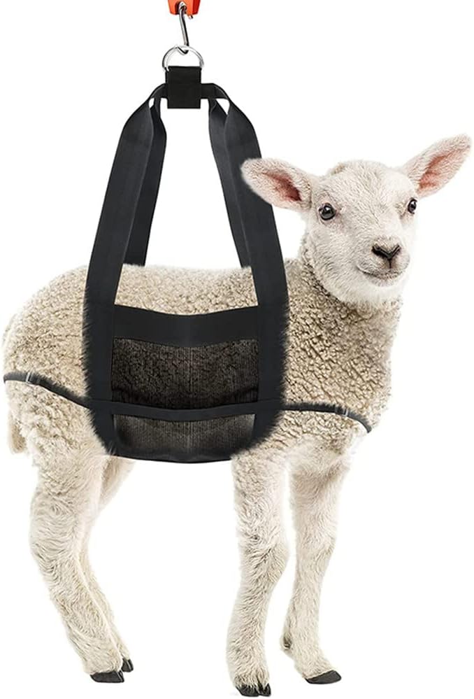 Klau Calf Scale Hanging Scale Sling with Adjustable Straps for Weighing Calves Lambs Goats Alpacas Dogs Newborn Livestock - Image 4