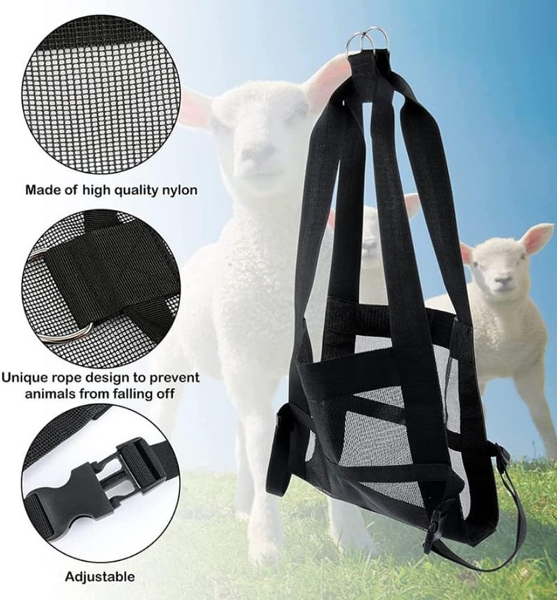 Klau Calf Scale Hanging Scale Sling with Adjustable Straps for Weighing Calves Lambs Goats Alpacas Dogs Newborn Livestock - Image 3