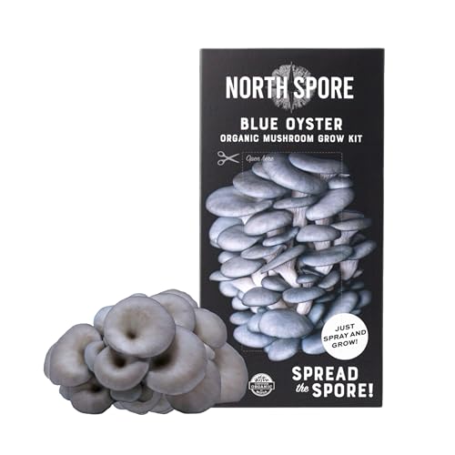 North Spore Organic Blue Oyster Mushroom Spray & Grow Kit (4 lb) | Beginner Friendly & Easy to Use | USDA Certified Organic, Non-GMO | Handmade in Maine, USA - Image 2