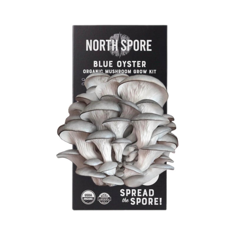 North Spore Organic Blue Oyster Mushroom Spray & Grow Kit (4 lb) | Beginner Friendly & Easy to Use | USDA Certified Organic, Non-GMO | Handmade in Maine, USA - Image 5