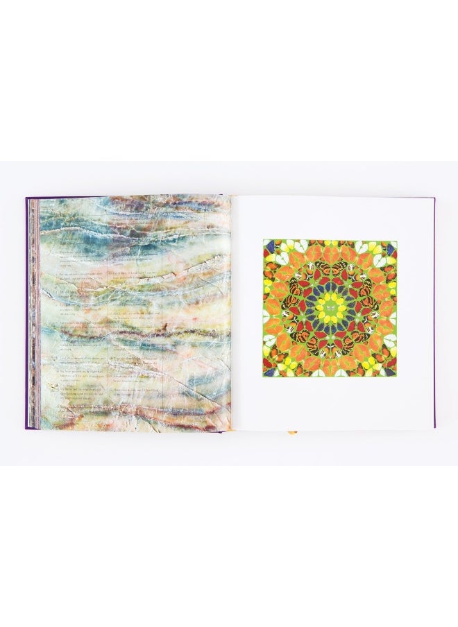 Damien Hirst: The Complete Psalm Paintings  - Image 4