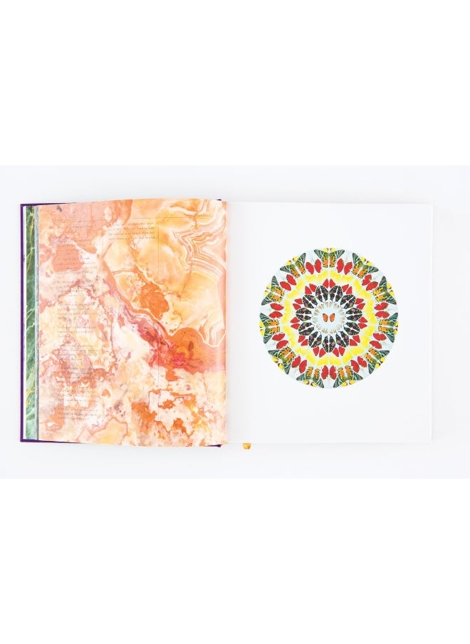 Damien Hirst: The Complete Psalm Paintings  - Image 5