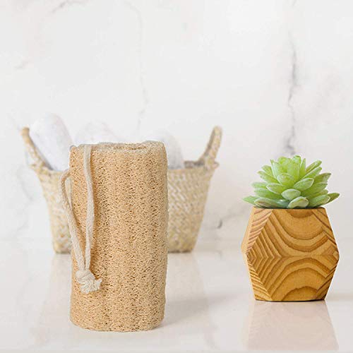 Scarlet Line 100% Organic Sponge Gourd Loofah Exfoliating Natural Scrubber for Bathing Sponge for Dead Skin Removing Anti- Bacterial Natural loofah - Image 5