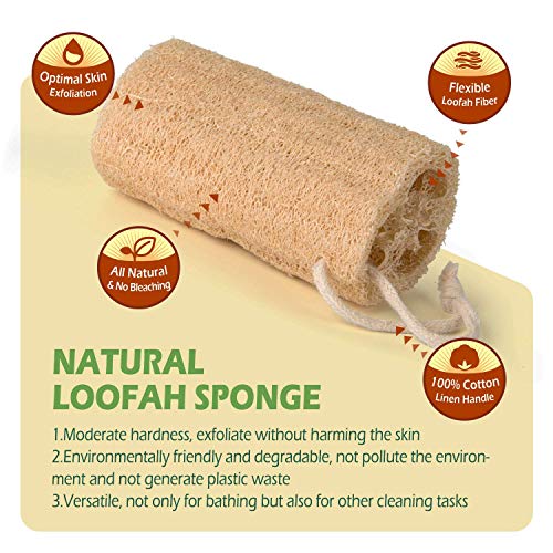 Scarlet Line 100% Organic Sponge Gourd Loofah Exfoliating Natural Scrubber for Bathing Sponge for Dead Skin Removing Anti- Bacterial Natural loofah - Image 2