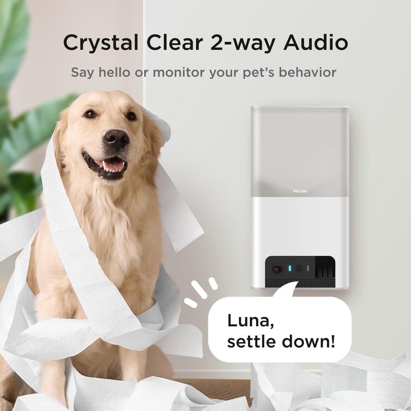 Petcube Bites 2 Lite Interactive WiFi Pet Monitoring Camera with Phone App and Treat Dispenser, 1080p HD Video, Night Vision, Two-Way Audio, Sound and Motion Alerts, Cat and Dog Monitor - Image 4