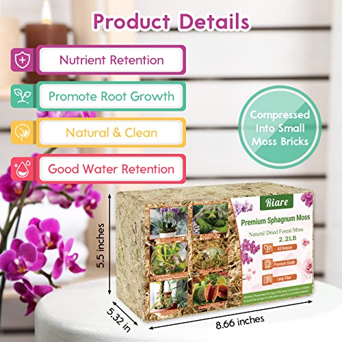 Riare 2.2 LB Premium Sphagnum Moss for Plants- 40QT Natural Long Fibered Sphagnum Peat Moss for Plants Indoor, Succulent Orchid Potting Mix for Orchids Carnivorous, Succulent and Reptiles - Image 2