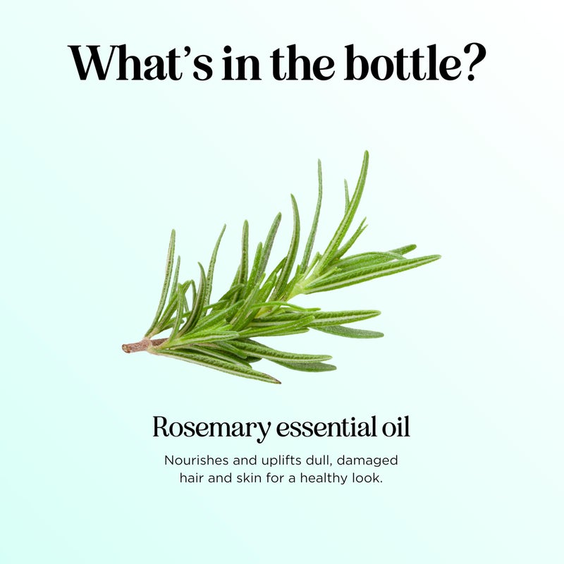 Maple Holistics Pure Rosemary Essential Oil with Dropper - Undiluted Rosemary Oil for Hair Skin and Nails and Refreshing Aromatherapy Oil for Diffusers - Essential Oil for Cleansing Dry Scalp Care 4oz - Image 4