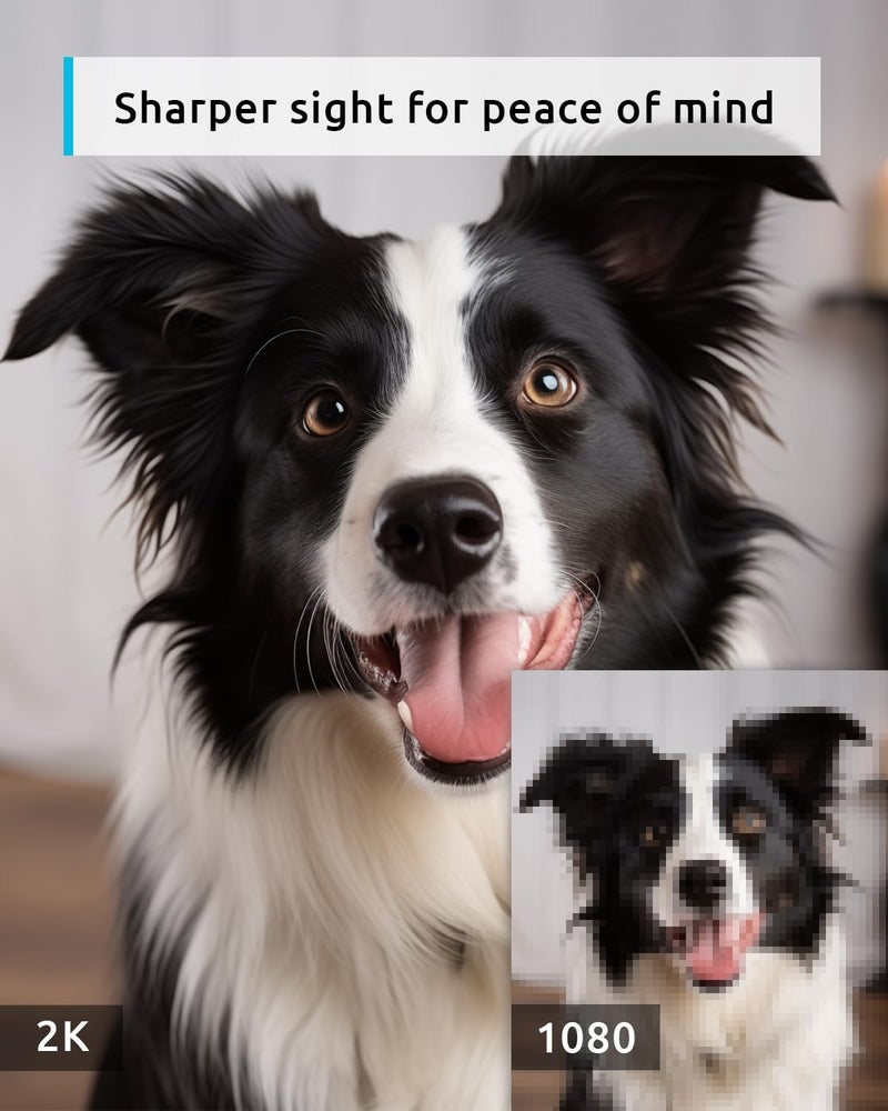 blurams Pet Camera 2K, 360° Indoor Security Camera, Dog Camera with Phone App, PTZ Cameras for Home Security Indoor, 2-Way Audio, Motion Tracking, Color/IR Night Vision, Siren, Cloud&SD(2.4GHz Only) - Image 2