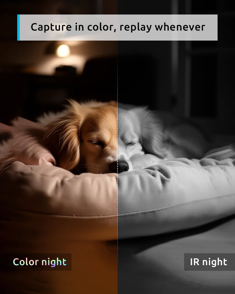 blurams Pet Camera 2K, 360° Indoor Security Camera, Dog Camera with Phone App, PTZ Cameras for Home Security Indoor, 2-Way Audio, Motion Tracking, Color/IR Night Vision, Siren, Cloud&SD(2.4GHz Only) - Image 3