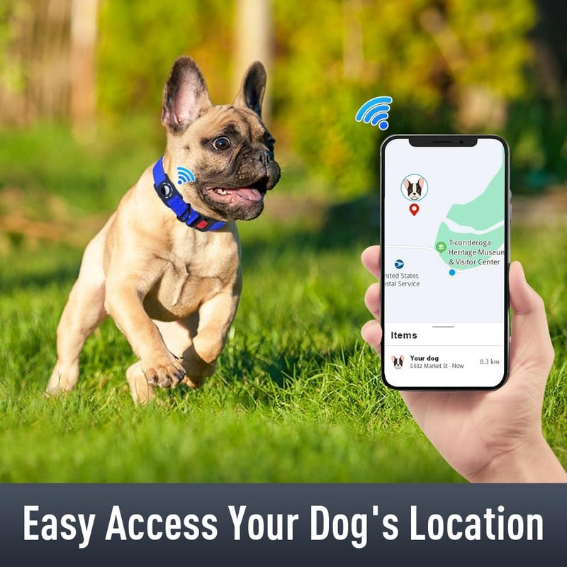 طوق كلب مع حامل AirTag للكلاب الصغيرة، عاكس، مبطن ناعم وإبزيم قفل أمان، أطواق حيوانات أليفة من النايلون قابلة للتعديل لجميع السلالات، أزرق بحري، S - Image 2