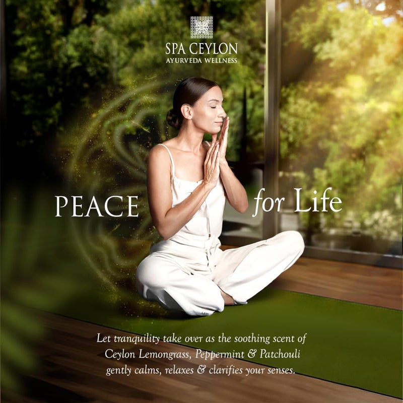 SPA CEYLON Peace Hand Wash | Gentle Hand Wash | Hydrates & Cleanses | Liquid Hand Soap | Aromatic Fragrance of Peppermint, Lemon, Lemongrass | 250ml - Image 4