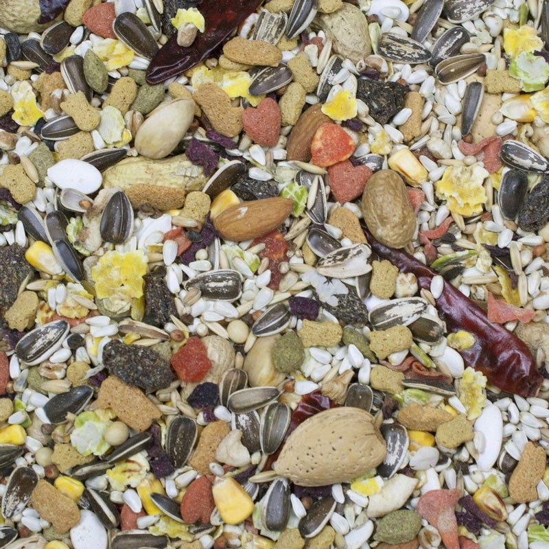 Higgins Sunburst Gourmet Blend Parrot Food 3 lbs - Pack of 2 - Image 2