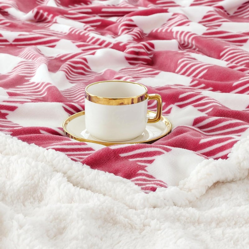 Touchat Sherpa Plaid Twin Blanket 60" X 70", Fuzzy Fluffy Soft Cozy Throw Blanket, Twin Size Plush Fleece Flannel Plush Microfiber Blanket for Couch Bed Sofa (RustRed) - Image 3