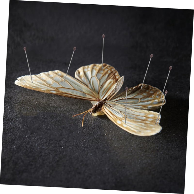 Stainless Steel Insect Mounting Pins 4cm Entomology Tools for Specimen Display - Image 5