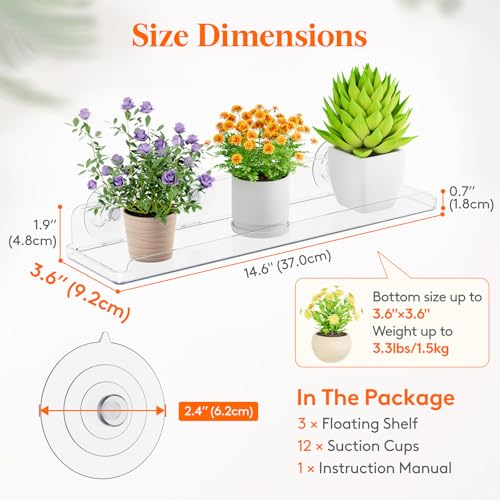 Lifewit Window Plant Floating Shelves 146x36 4 Pack Acrylic Suction Cup Shelf Window Sill Extender for Indoor Succulent Plants Micro Greens Seed Starter Pots Herb Planters 37 x 9 cm146x36 - Image 3