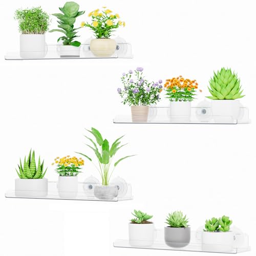 Lifewit Window Plant Floating Shelves 146x36 4 Pack Acrylic Suction Cup Shelf Window Sill Extender for Indoor Succulent Plants Micro Greens Seed Starter Pots Herb Planters 37 x 9 cm146x36 - Image 1