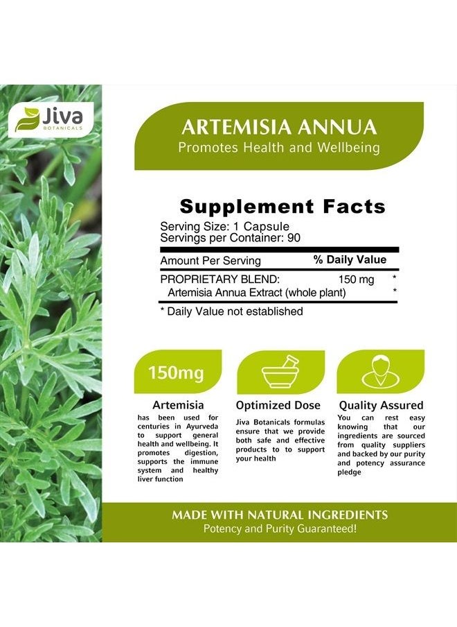 Jiva BOTANICALS - Artemisia Annua Capsules - Sweet Wormwood Capsules - Wormwood Herb Extract from Sweet Wormwood Root - Leverage The Benefits of Wormwood Plant - 90 Capsules - Image 1