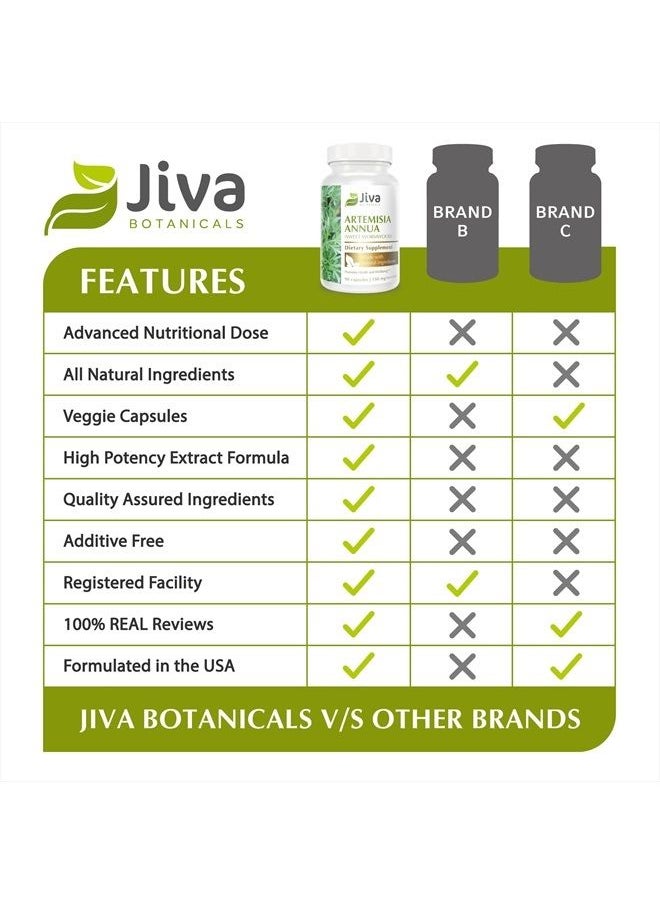 Jiva BOTANICALS - Artemisia Annua Capsules - Sweet Wormwood Capsules - Wormwood Herb Extract from Sweet Wormwood Root - Leverage The Benefits of Wormwood Plant - 90 Capsules - Image 1