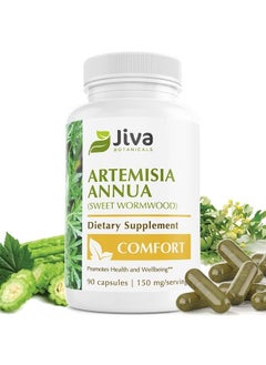 Artemisia Annua Capsules - Sweet Wormwood Capsules - Wormwood Herb Extract from Sweet Wormwood Root - Leverage The Benefits of Wormwood Plant - 90 Capsules