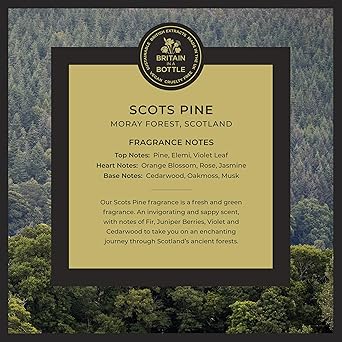 Noble Isle Scots Pine Bath Shower Gel 250ml - Image 2