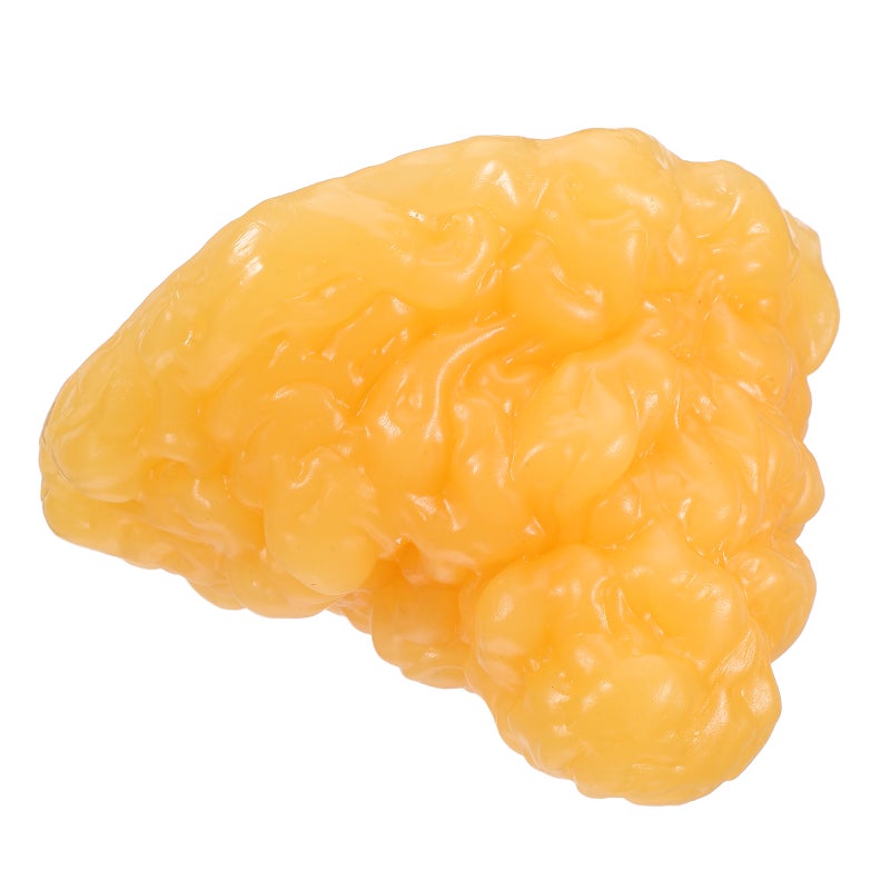 Fake Fat - 1 Human Fat Tissue Model For Anatomy Students - Clinical Realistic Fatty Tissue Demonstration Model For Science Teaching - Image 1