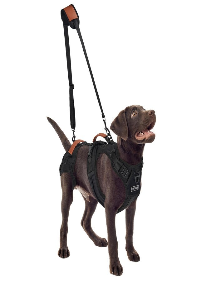 Moysoon Dog Lift Harness, Full Body Dog Harness with Handle for Lifting, Front/Back Leg Support, Prevent Chafing Pee-Able Design, 2-in-1 Detachable Dog Assist Harness for Senior Disabled Dogs Up to 27lb S - Image 1