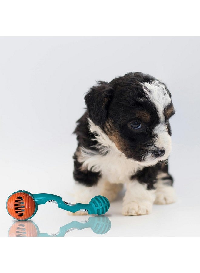 إيميلي بيتس لعبة Hide N Seek Tug-O-Rope لتوزيع المكافآت على أنف الكلاب تصدر أصوات مضغ صريرية للمضغ العنيف وتنظيف الأسنان أثناء التسنين (مطاط طبيعي ناعم غير سام) (شكل عصا) - Image 5