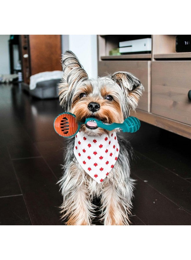 إيميلي بيتس لعبة Hide N Seek Tug-O-Rope لتوزيع المكافآت على أنف الكلاب تصدر أصوات مضغ صريرية للمضغ العنيف وتنظيف الأسنان أثناء التسنين (مطاط طبيعي ناعم غير سام) (شكل عصا) - Image 4