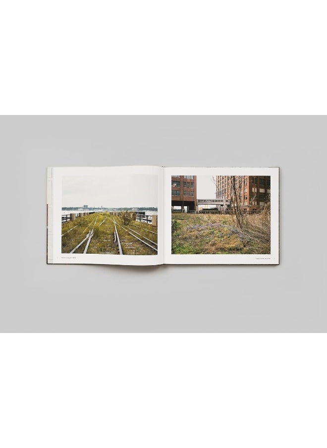null - Joel Sternfeld: Walking the High Line: Revised Edition - Image 1