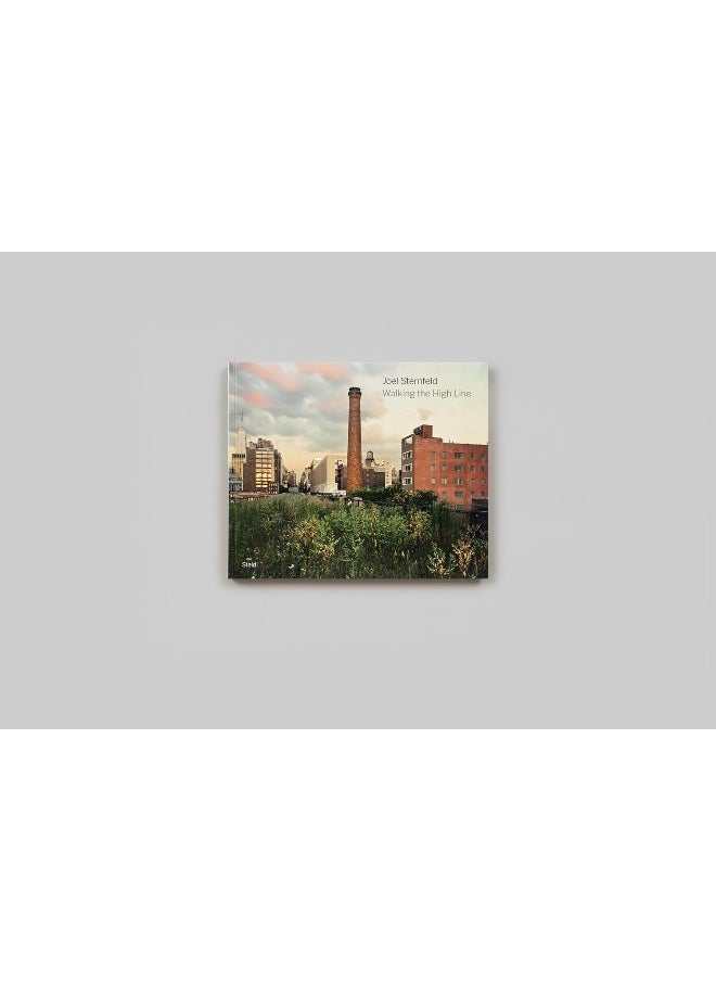 null - Joel Sternfeld: Walking the High Line: Revised Edition - Image 1