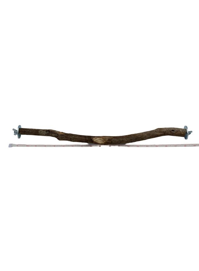 Polly's Full Length Hardwood Bird Perch, 18-Inch - Image 1